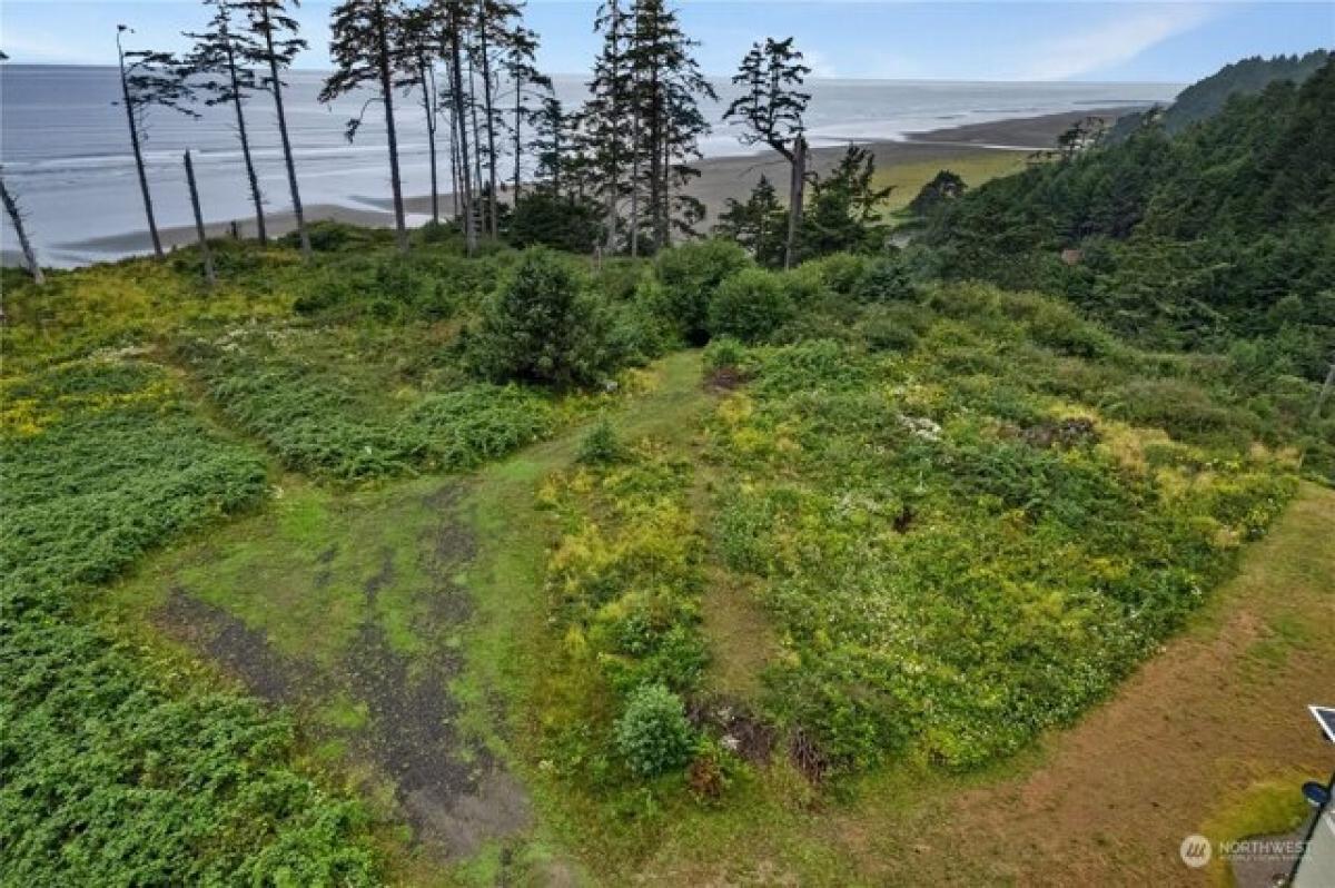 Picture of Residential Land For Sale in Pacific Beach, Washington, United States