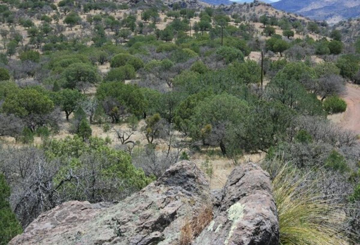 Picture of Residential Land For Sale in Fort Davis, Texas, United States