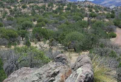 Residential Land For Sale in Fort Davis, Texas