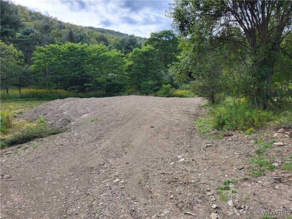 Picture of Residential Land For Sale in Great Valley, New York, United States