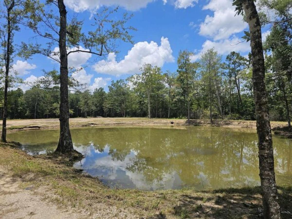 Picture of Residential Land For Sale in Vidor, Texas, United States