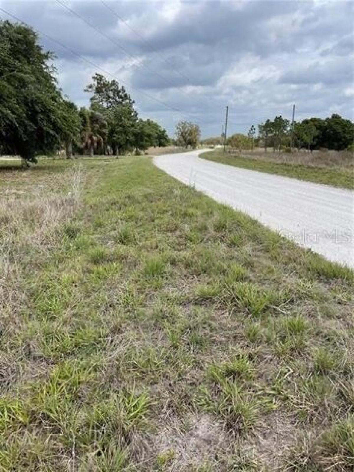 Picture of Residential Land For Sale in Frostproof, Florida, United States