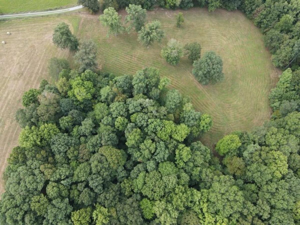 Picture of Residential Land For Sale in Belvidere, Tennessee, United States