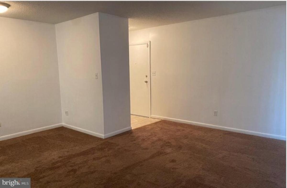 Picture of Apartment For Rent in Washington, District of Columbia, United States