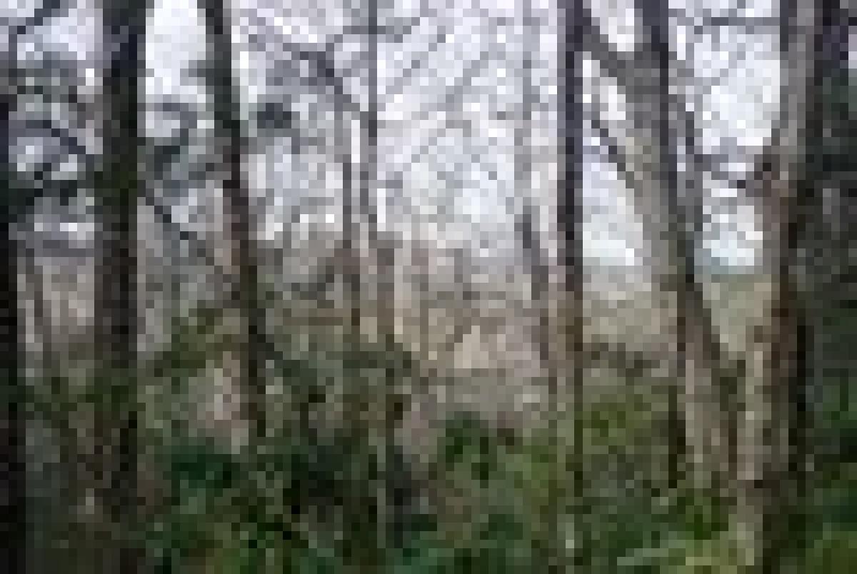 Picture of Residential Land For Sale in Highlands, North Carolina, United States