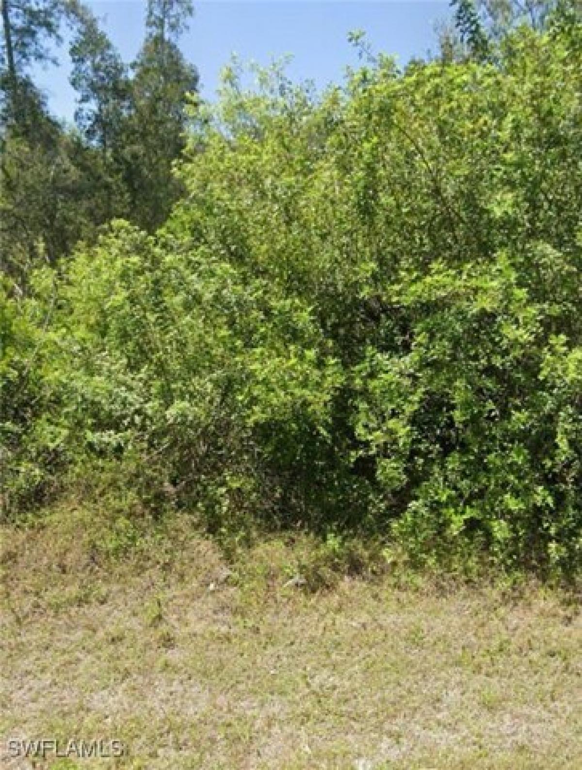 Picture of Residential Land For Sale in Lehigh Acres, Florida, United States