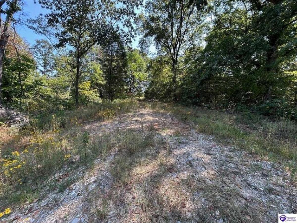 Picture of Residential Land For Sale in Battletown, Kentucky, United States