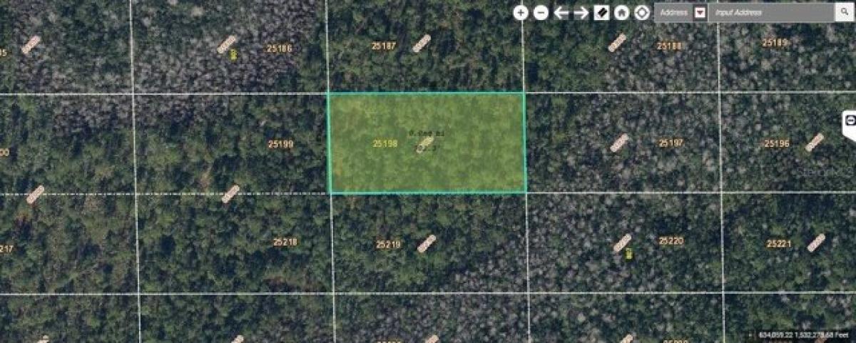 Picture of Residential Land For Sale in Orlando, Florida, United States