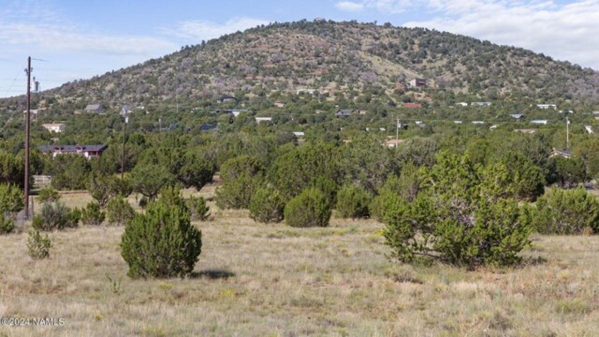 Picture of Residential Land For Sale in Williams, Arizona, United States