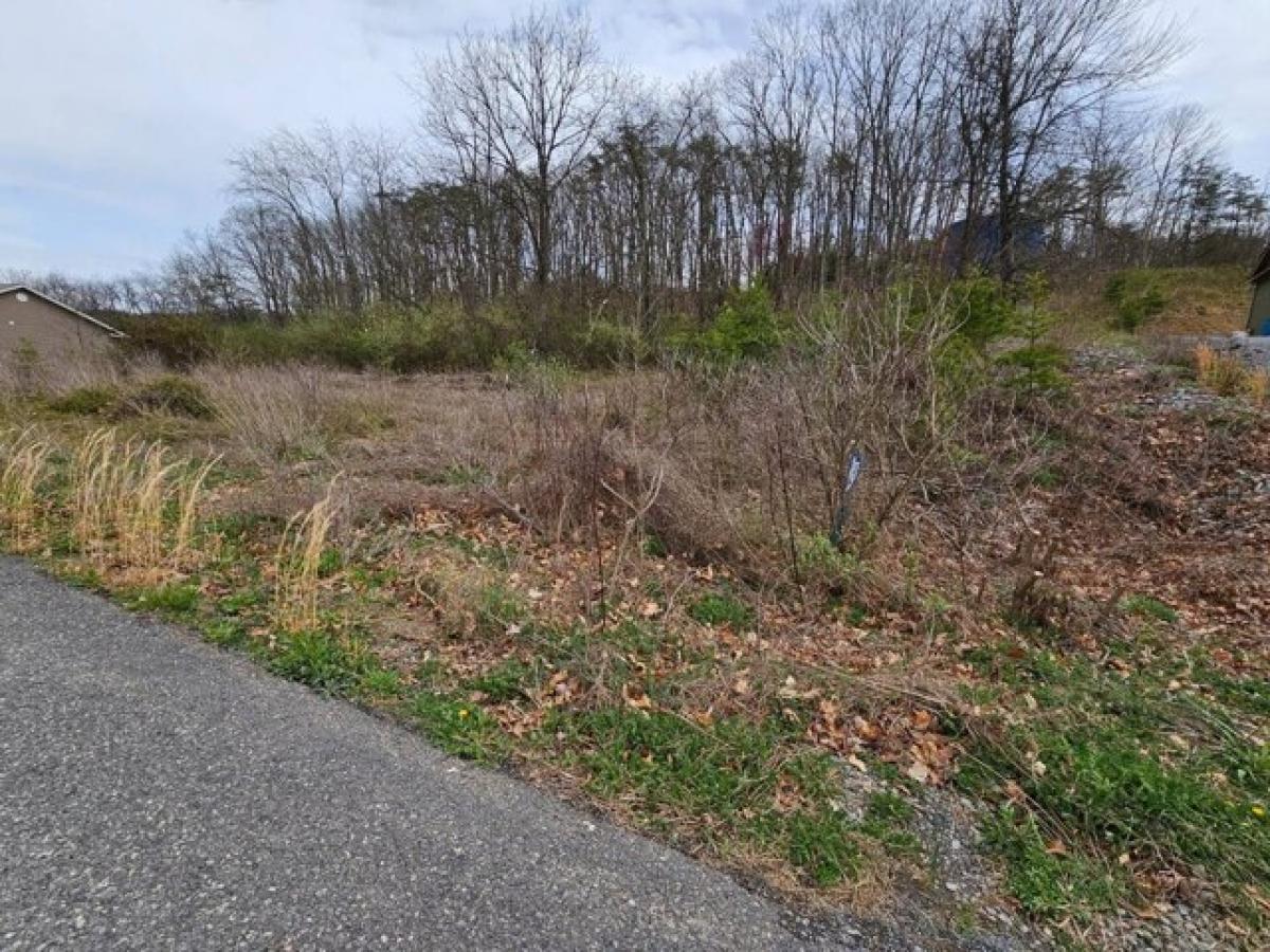 Picture of Residential Land For Sale in Fort Ashby, West Virginia, United States