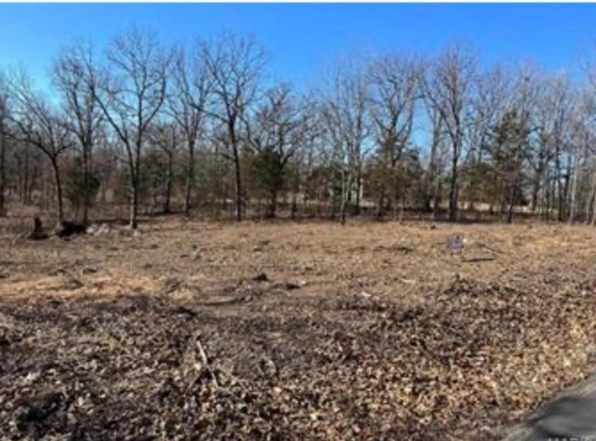 Picture of Residential Land For Rent in Bonne Terre, Missouri, United States