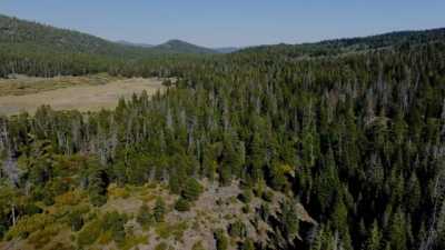 Residential Land For Sale in Sierraville, California