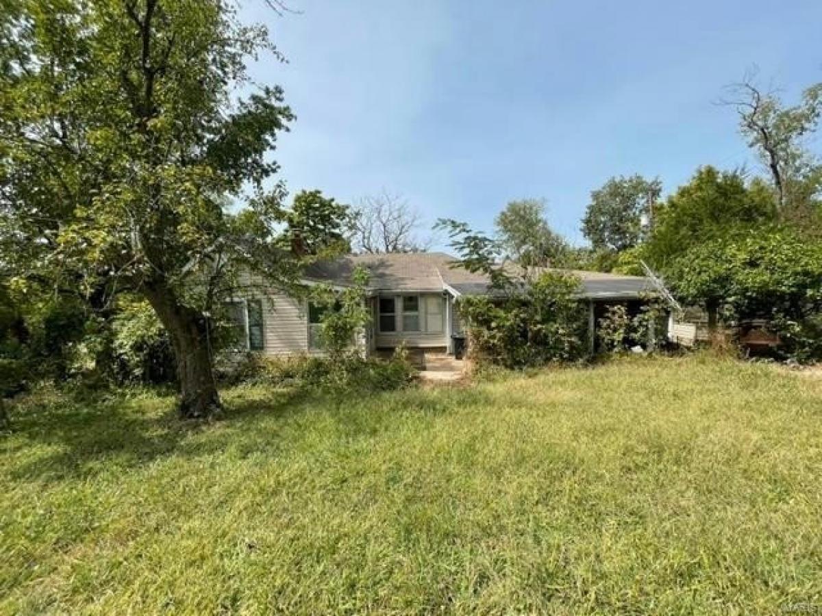 Picture of Home For Sale in De Soto, Missouri, United States