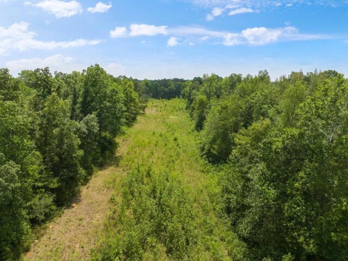 Picture of Residential Land For Sale in Decaturville, Tennessee, United States