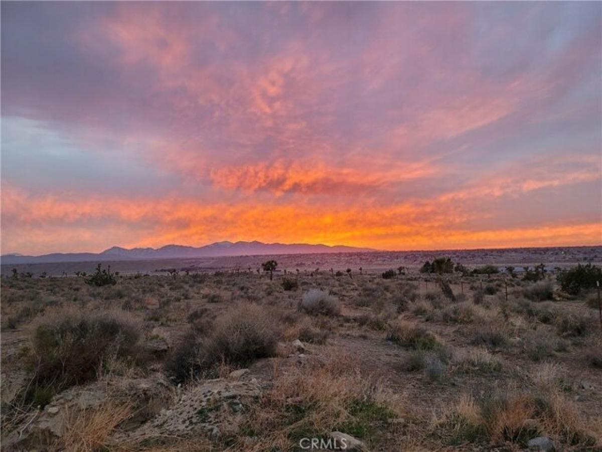 Picture of Residential Land For Sale in Apple Valley, California, United States