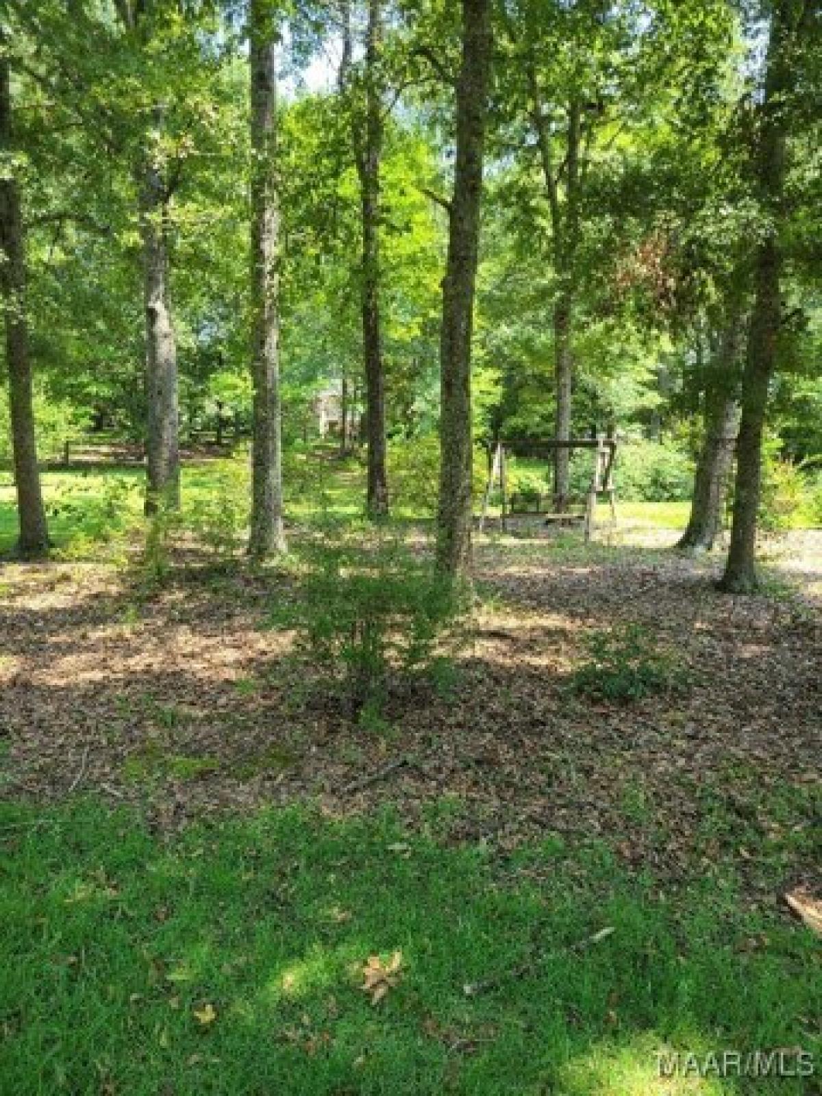 Picture of Residential Land For Sale in Thorsby, Alabama, United States