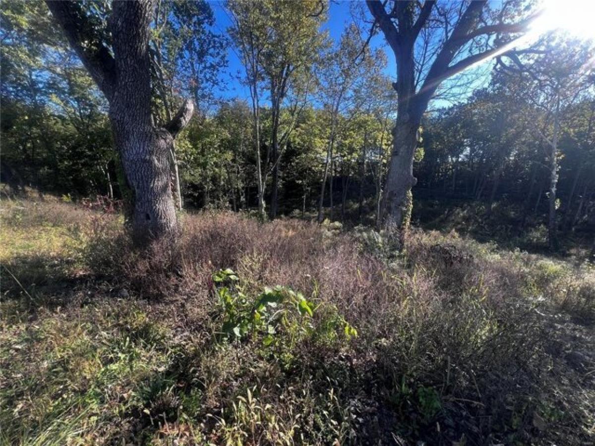 Picture of Residential Land For Sale in Perryville, Missouri, United States