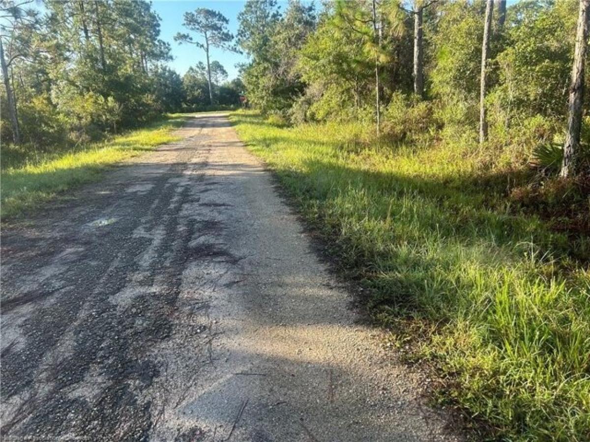 Picture of Residential Land For Sale in Lake Placid, Florida, United States