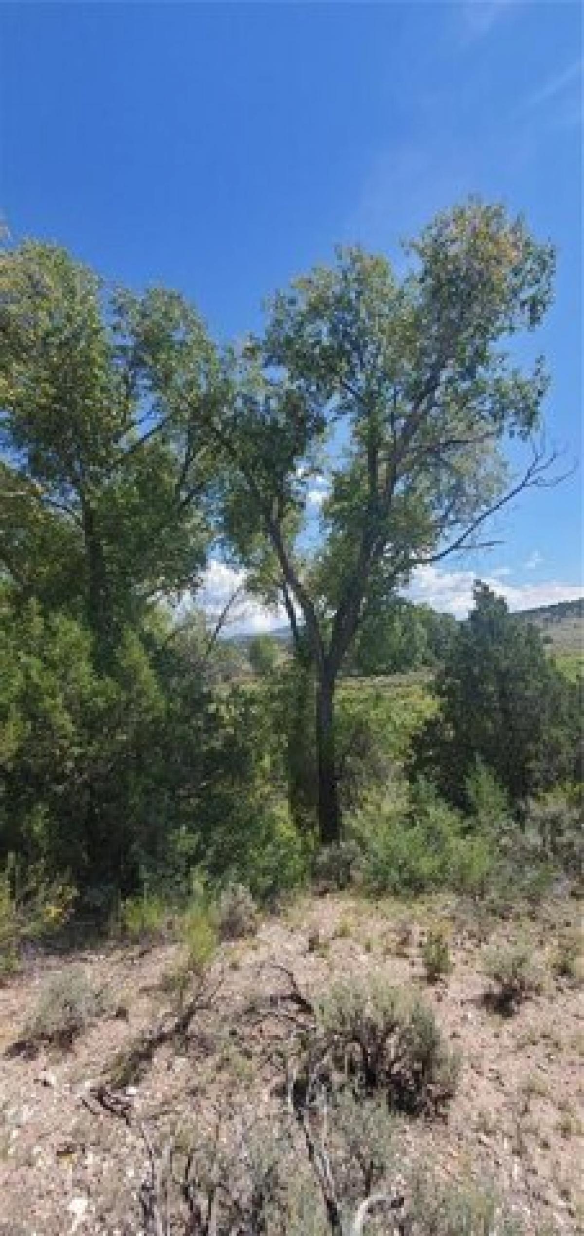 Picture of Residential Land For Sale in Fort Garland, Colorado, United States