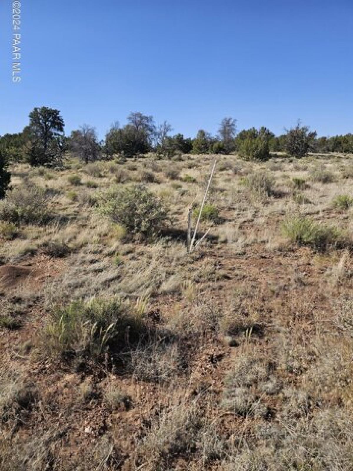 Picture of Residential Land For Sale in Williams, Arizona, United States