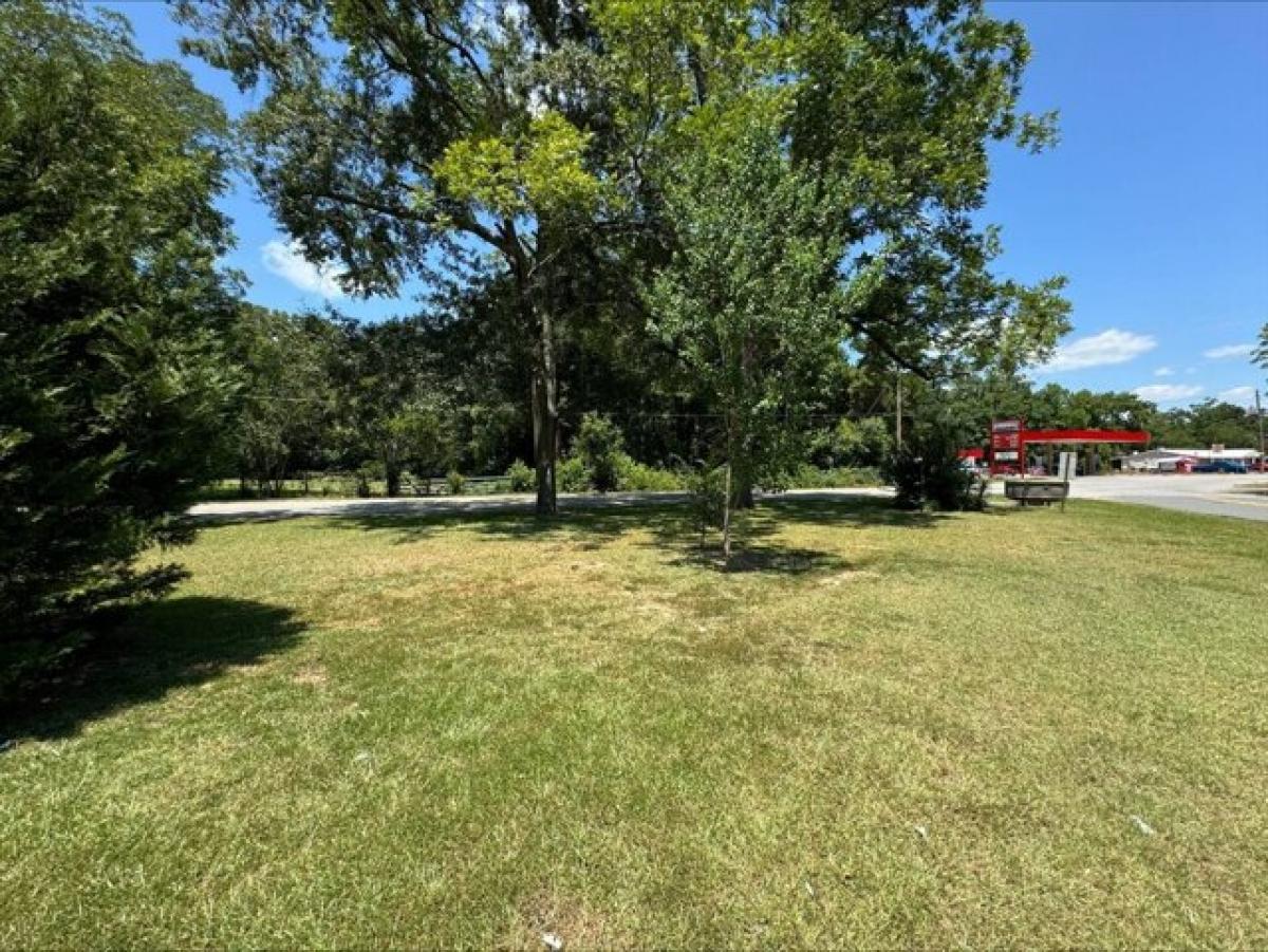 Picture of Residential Land For Sale in Graceville, Florida, United States