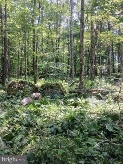 Residential Land For Sale in Oakland, Maryland