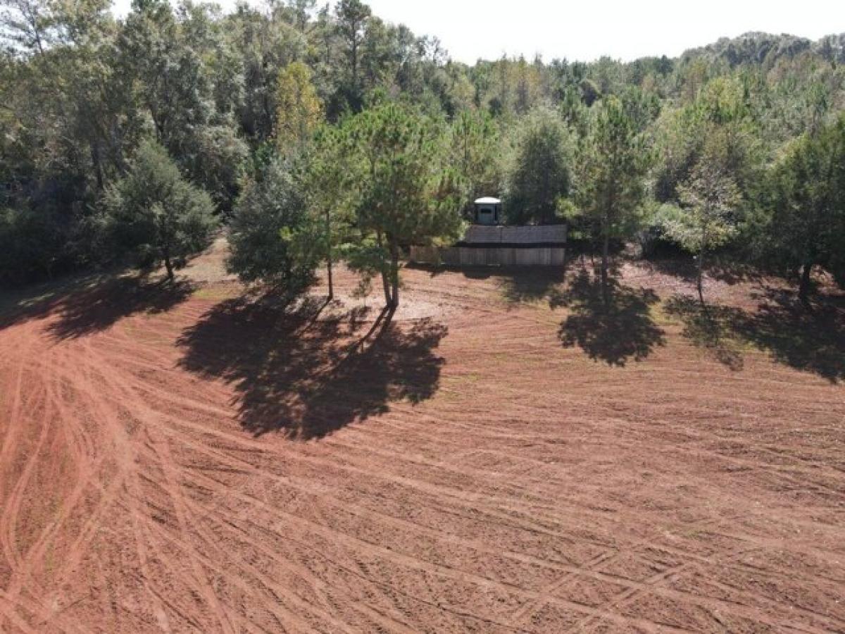 Picture of Home For Sale in Luverne, Alabama, United States