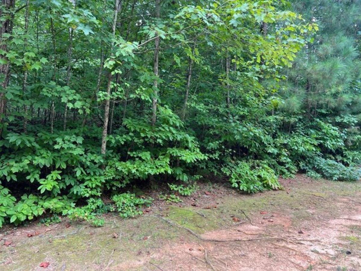 Picture of Residential Land For Sale in Carrollton, Georgia, United States