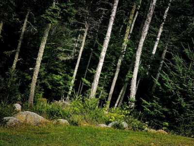 Residential Land For Sale in Harrington, Maine