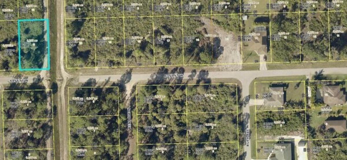 Picture of Residential Land For Sale in Lehigh Acres, Florida, United States