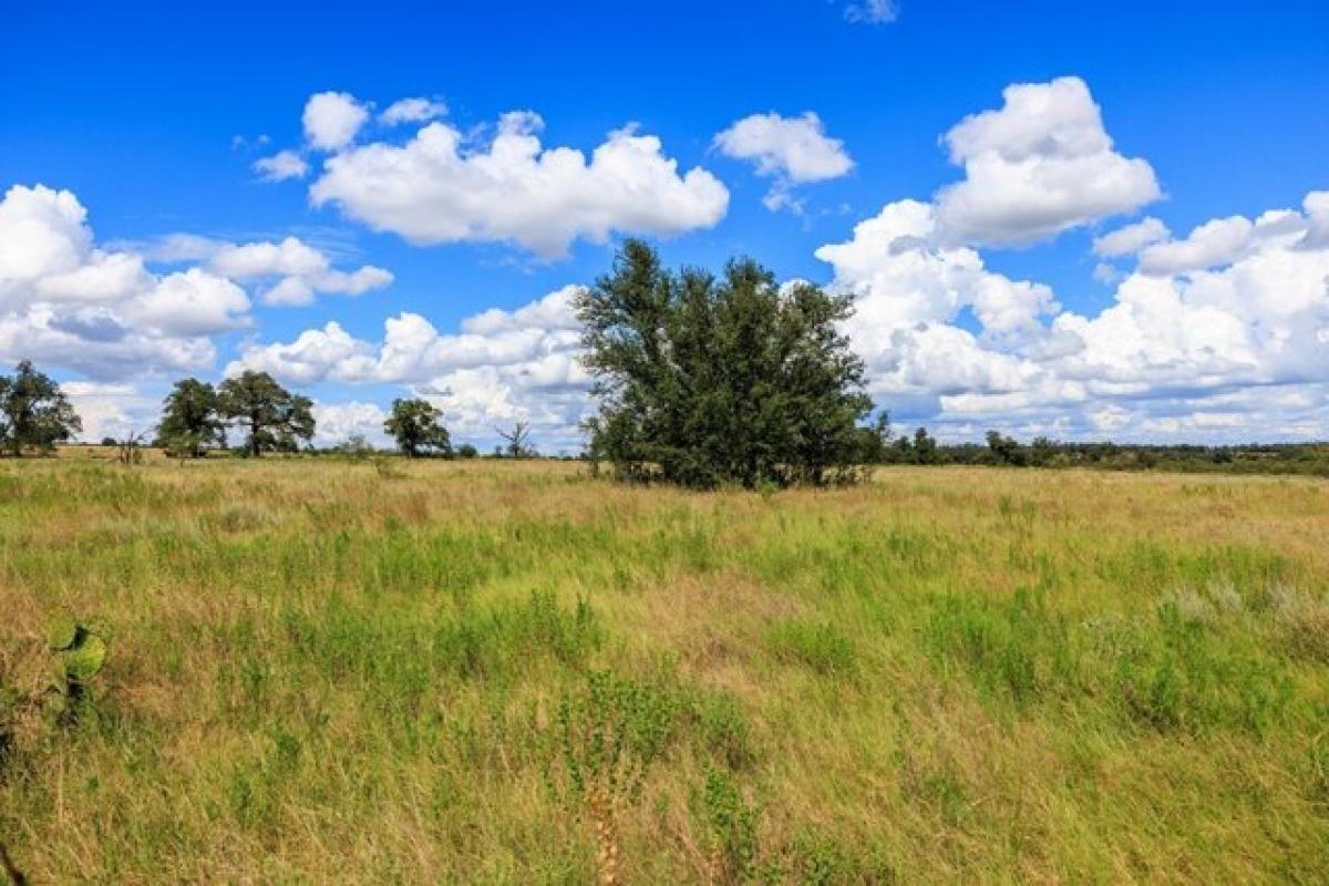 Picture of Residential Land For Sale in Willow City, Texas, United States