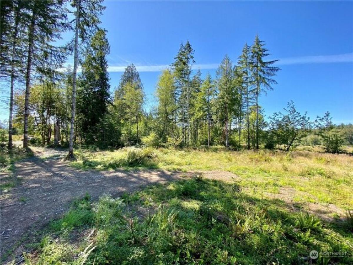 Picture of Residential Land For Sale in Shelton, Washington, United States