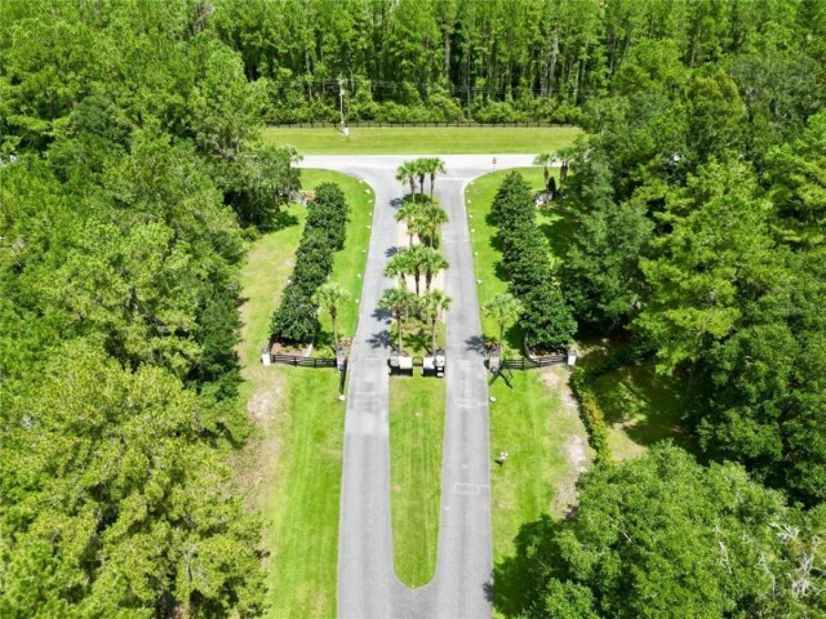 Picture of Residential Land For Sale in Williston, Florida, United States