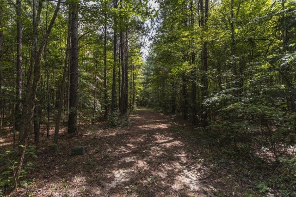 Picture of Residential Land For Sale in Skipwith, Virginia, United States