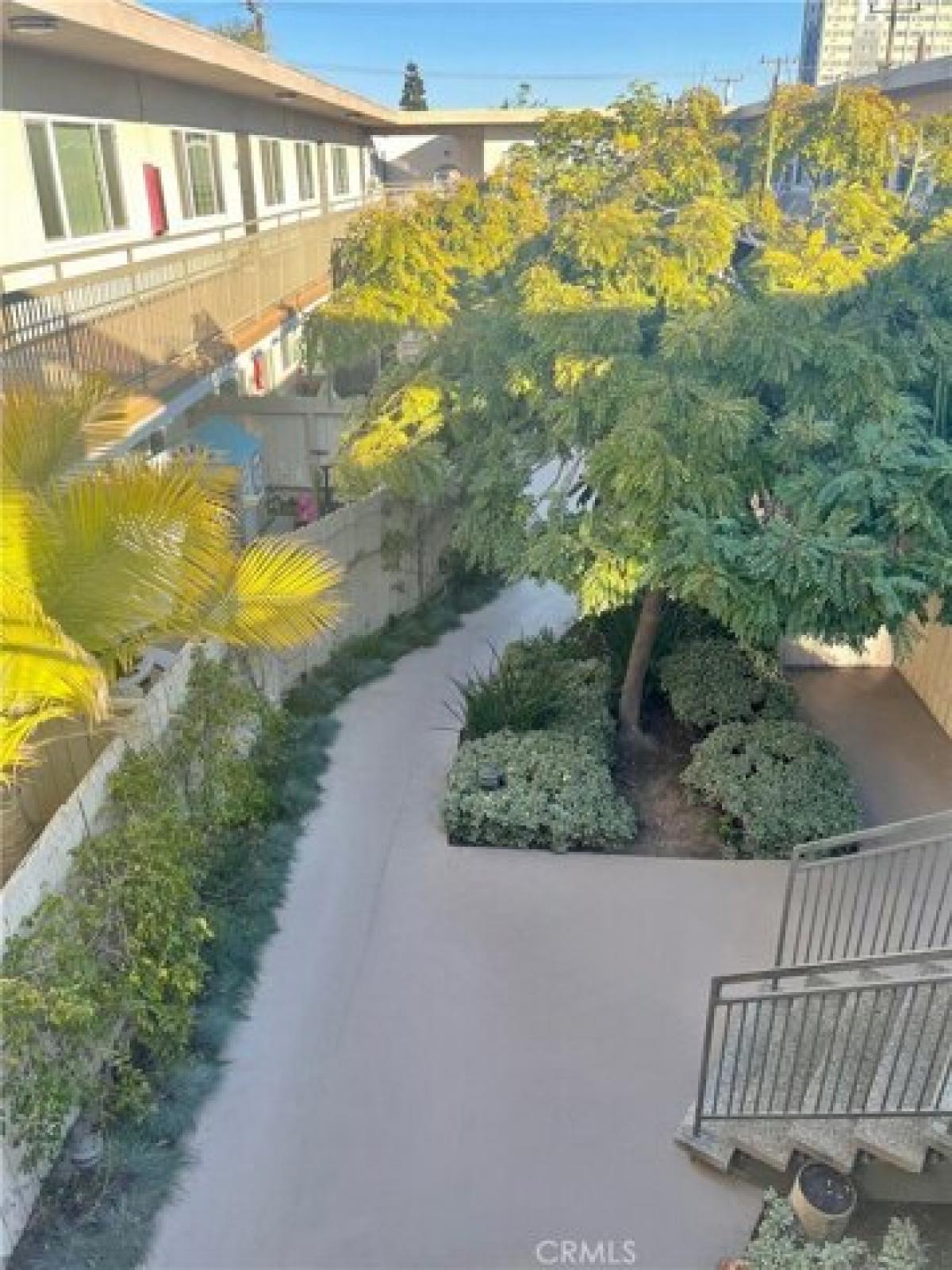 Picture of Apartment For Rent in Torrance, California, United States