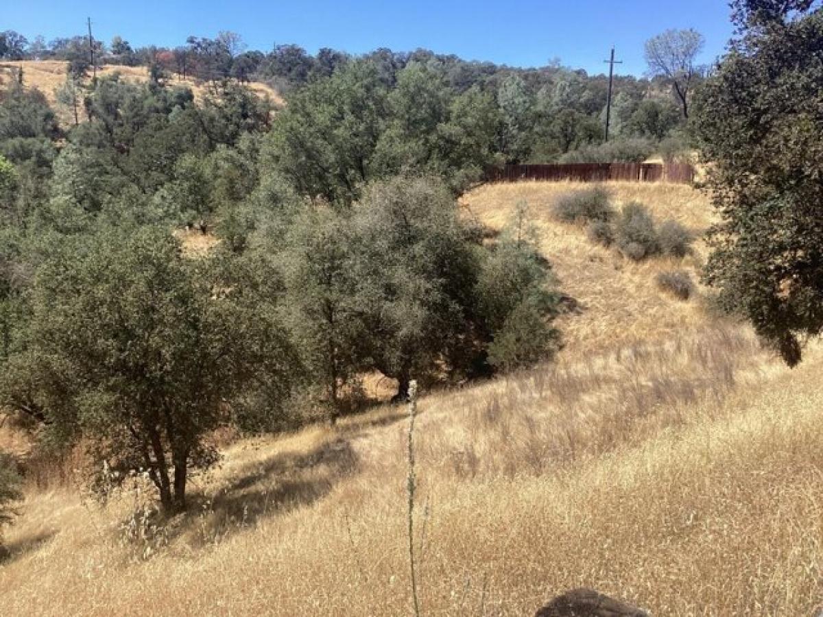 Picture of Residential Land For Sale in Coulterville, California, United States