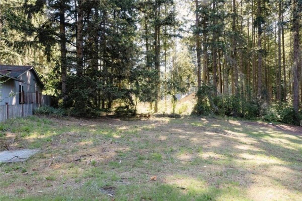 Picture of Residential Land For Sale in Yelm, Washington, United States