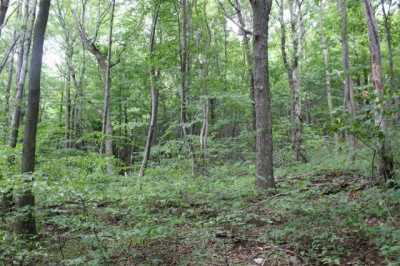 Residential Land For Sale in 