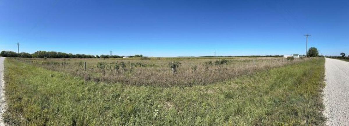 Picture of Residential Land For Sale in Letts, Iowa, United States