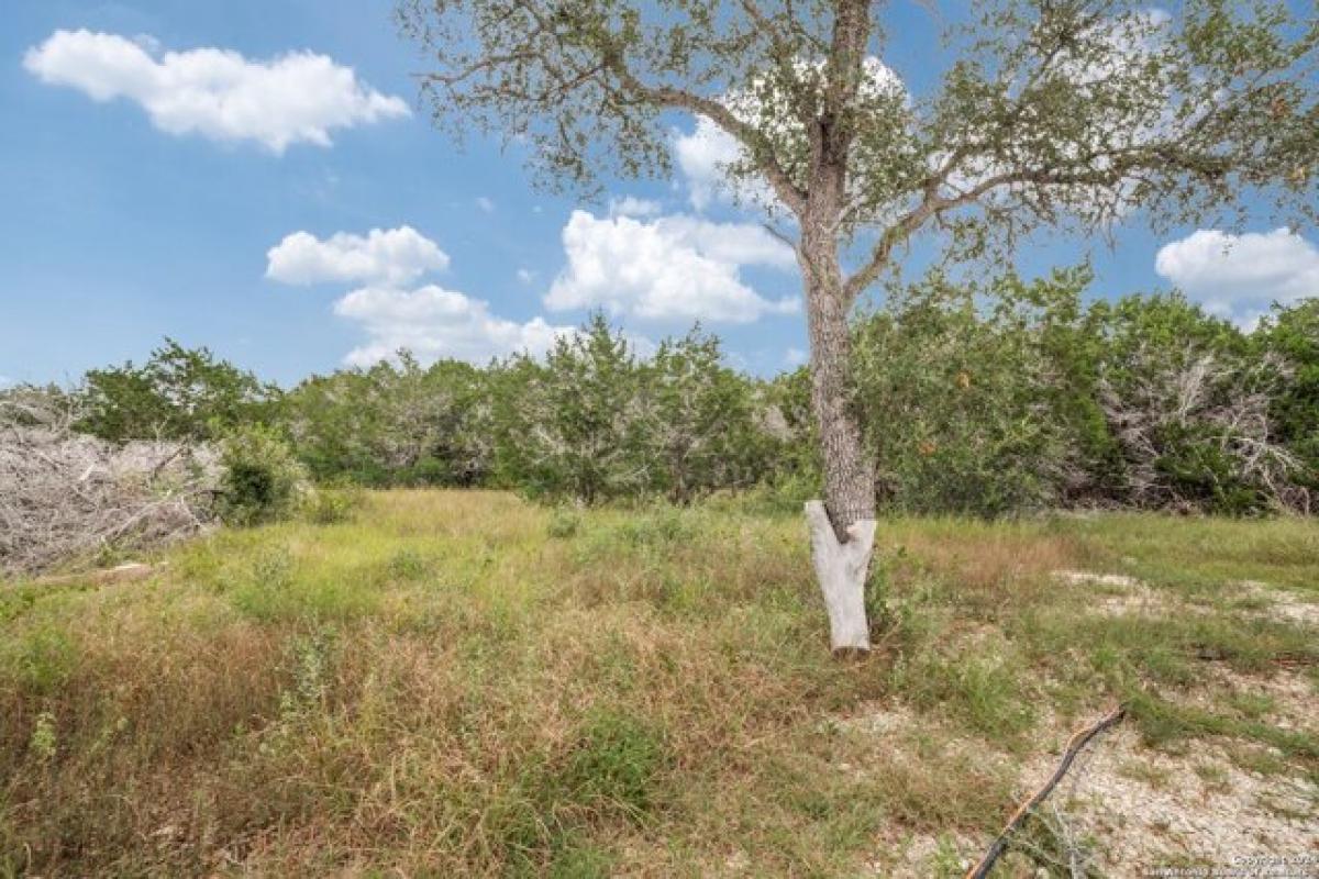 Picture of Residential Land For Sale in Mico, Texas, United States