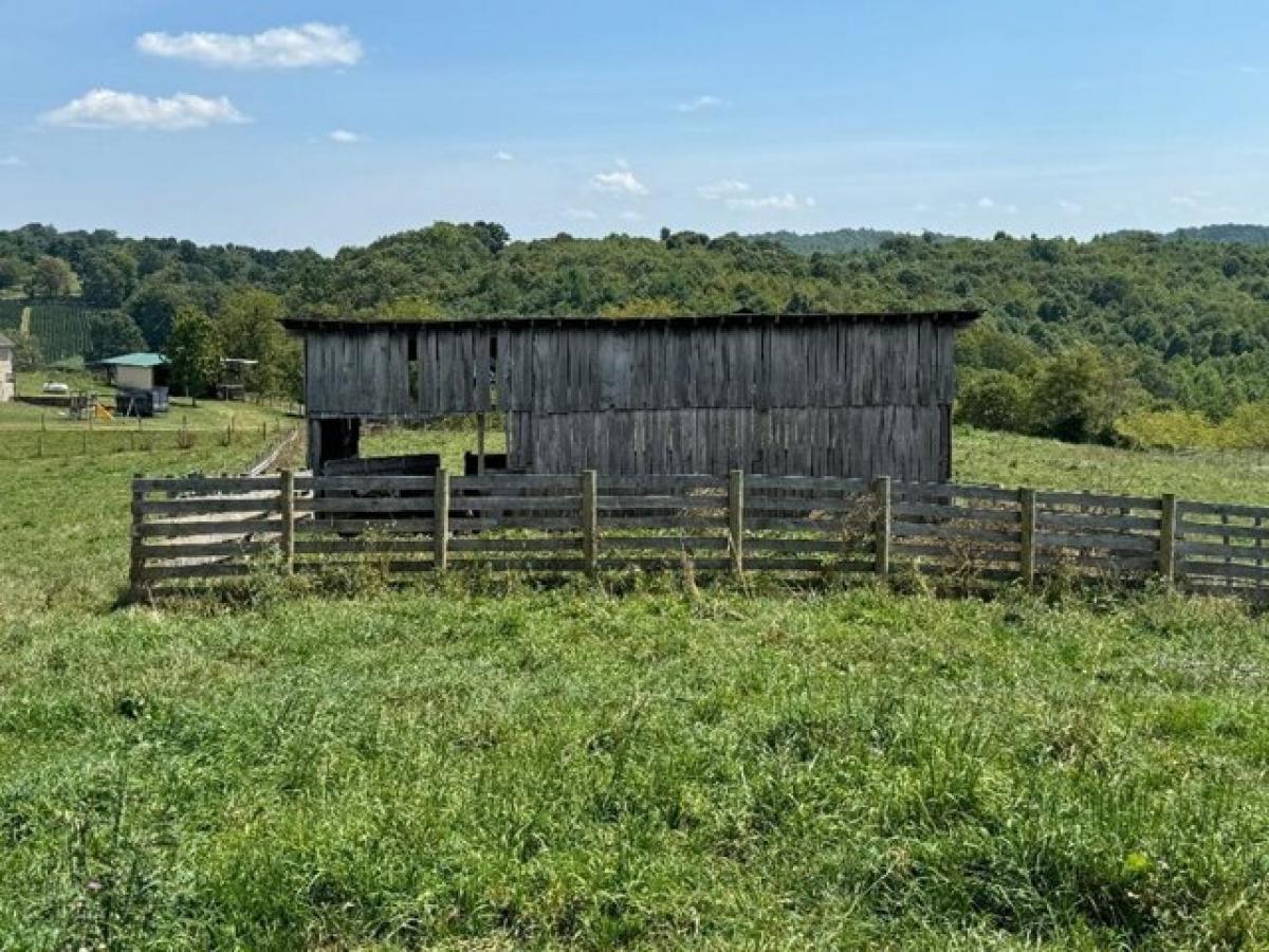 Picture of Residential Land For Sale in Independence, Virginia, United States