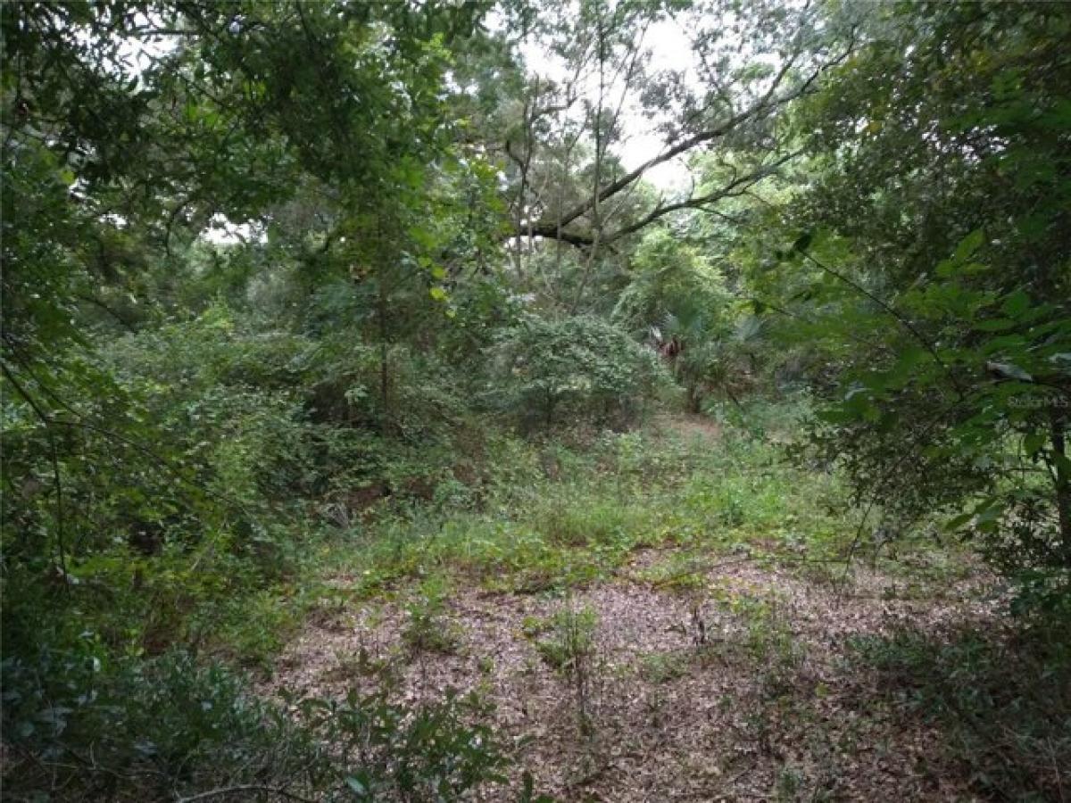 Picture of Residential Land For Sale in Ocklawaha, Florida, United States