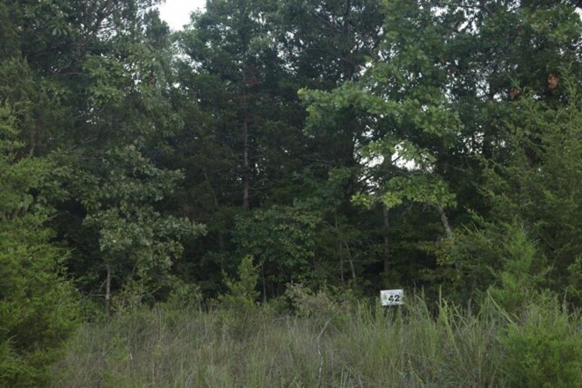 Picture of Residential Land For Sale in Kirbyville, Missouri, United States