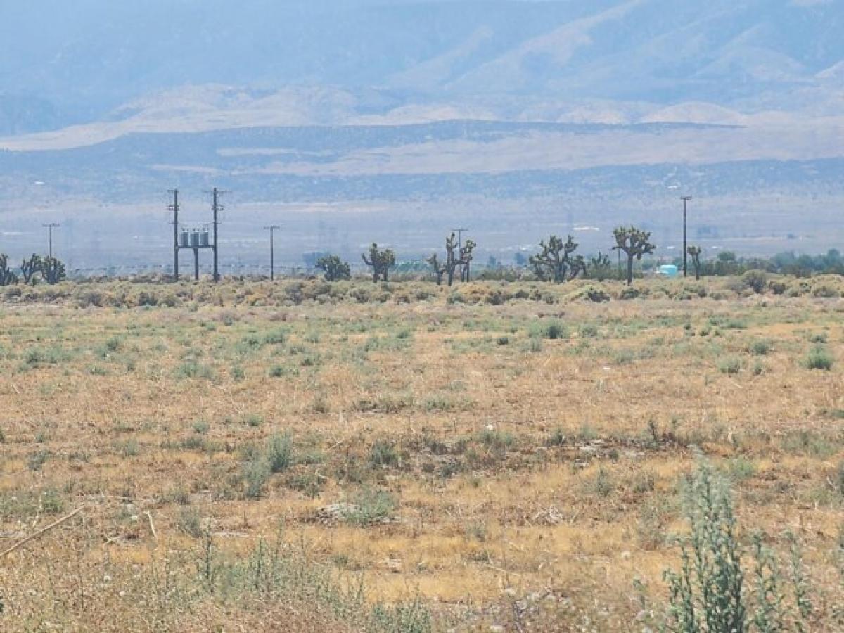 Picture of Residential Land For Sale in Palmdale, California, United States