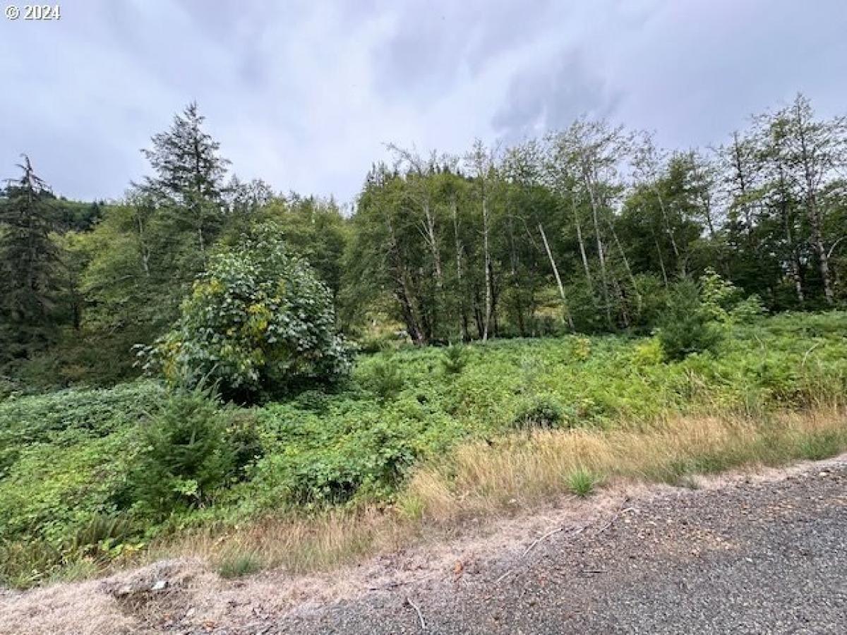 Picture of Residential Land For Sale in Ariel, Washington, United States