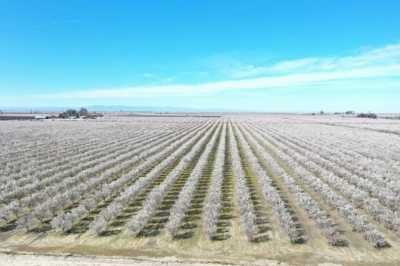 Residential Land For Sale in Caruthers, California