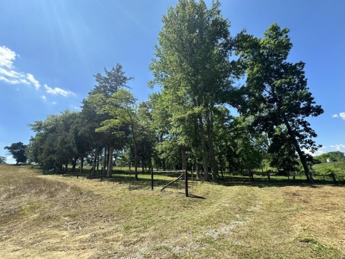 Picture of Residential Land For Sale in Eubank, Kentucky, United States