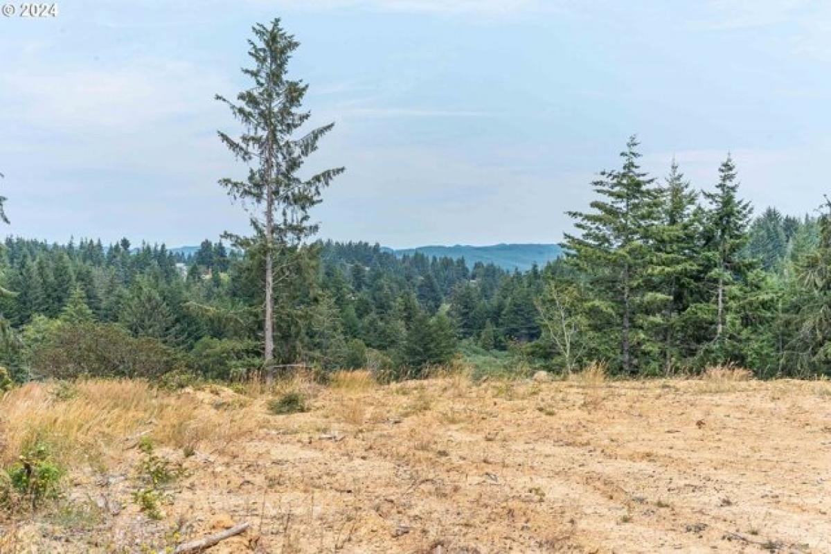 Picture of Residential Land For Sale in Coos Bay, Oregon, United States