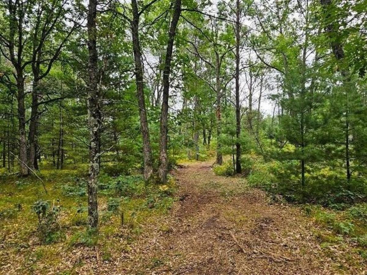 Picture of Residential Land For Sale in Necedah, Wisconsin, United States