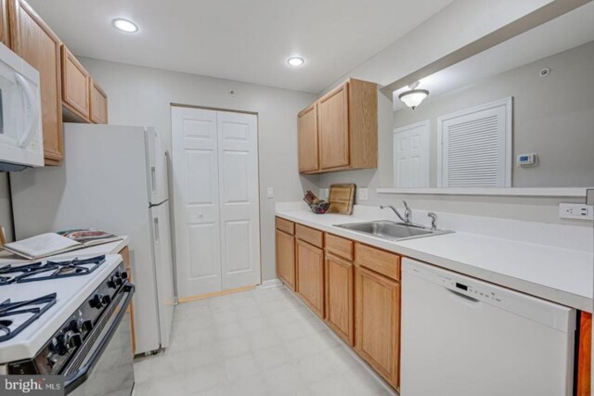 Picture of Apartment For Rent in Woodbridge, Virginia, United States